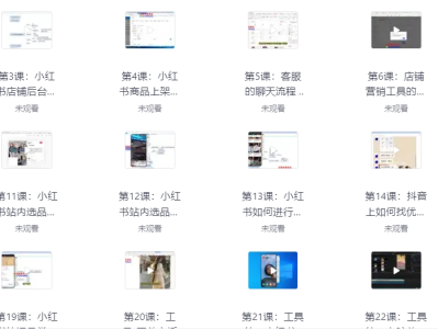 互联网副业项目：价值2999元小红书电商运营从入门到精通