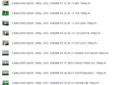 花了998买来的台球教程，正版高清视频教程